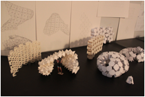 Description: Macintosh HD:Users:ming-chiehma:trips:2011EXCHANGE TO CALPOLY:pic:0330 interim:IMG_9590.JPG